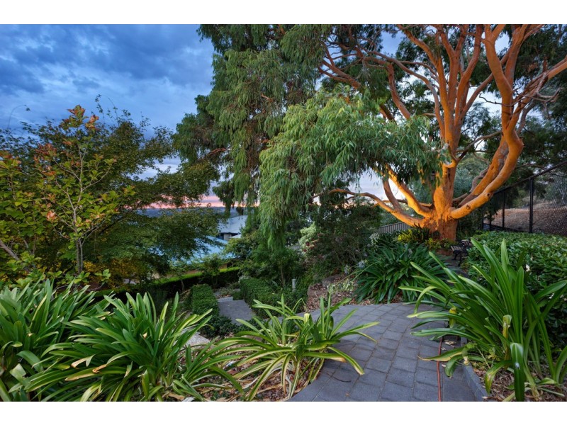 19 Atherton Crescent, Tatton NSW 2650