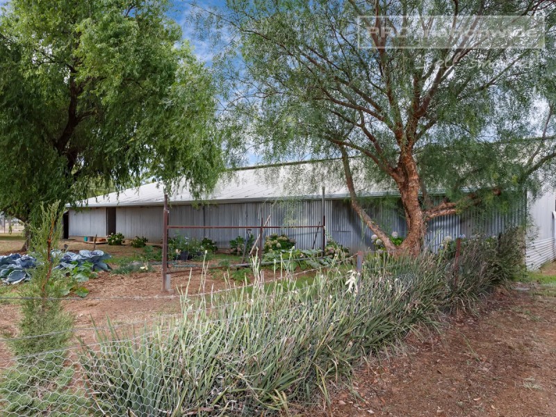 79 Mitchell Road, Lake Albert NSW 2650