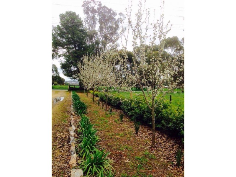 79 Mitchell Road, Lake Albert NSW 2650