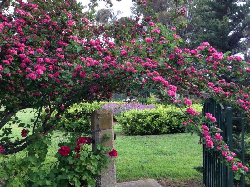 79 Mitchell Road, Lake Albert NSW 2650