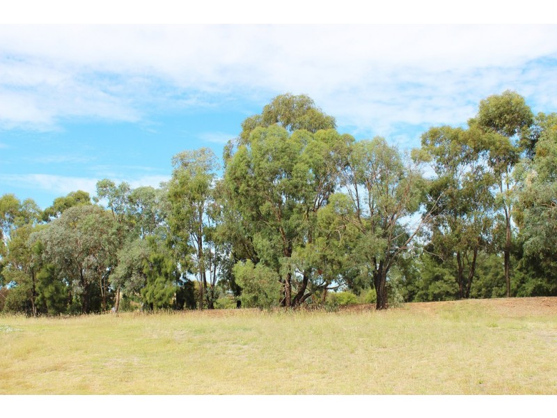 10 Elanora Place, Glenfield Park NSW 2650