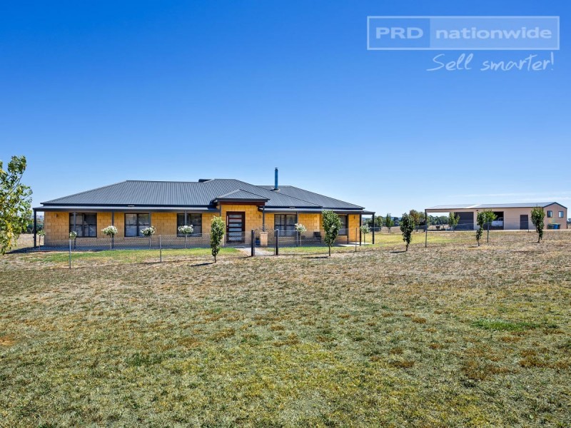 111 Butterbush Road, Gregadoo NSW 2650