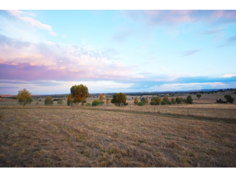 116 Bavin Road, Bomen NSW 2650