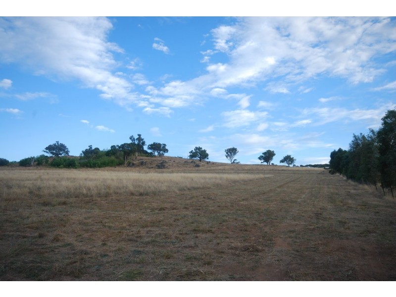 116 Bavin Road, Bomen NSW 2650