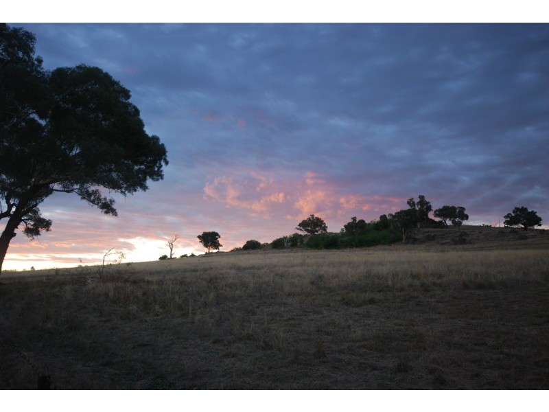 116 Bavin Road, Bomen NSW 2650
