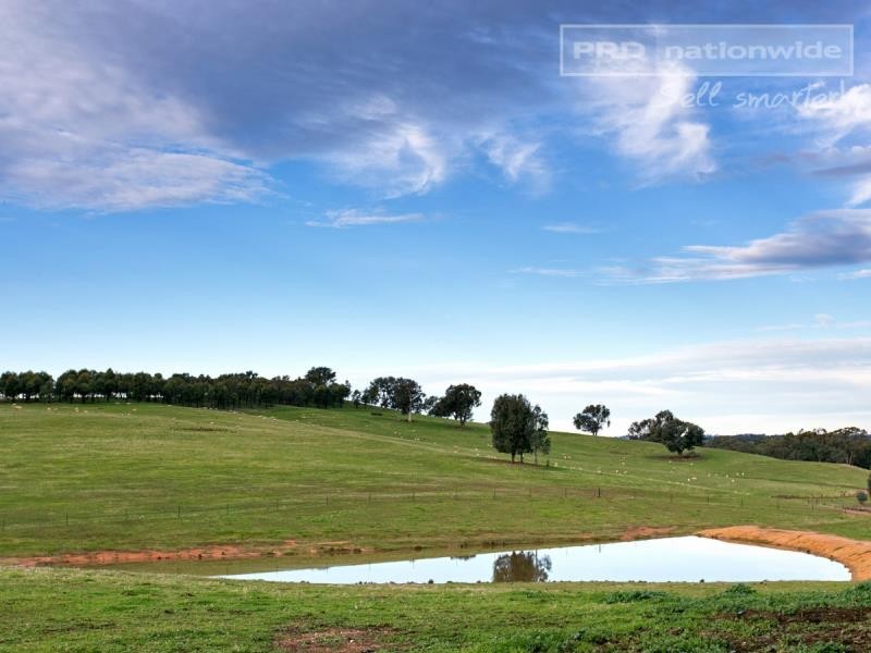 793 Livingstone Gully Road, Big Springs NSW 2650