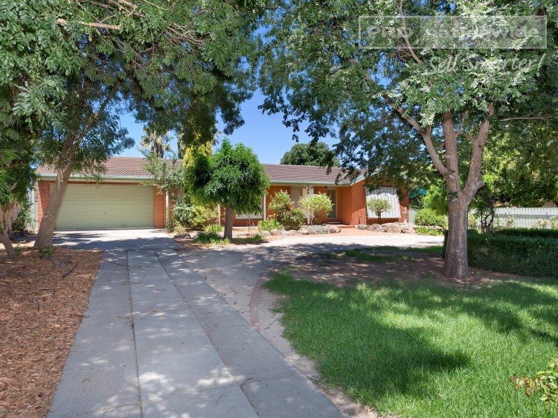 19 Horseshoe Road, Cartwrights Hill NSW 2650