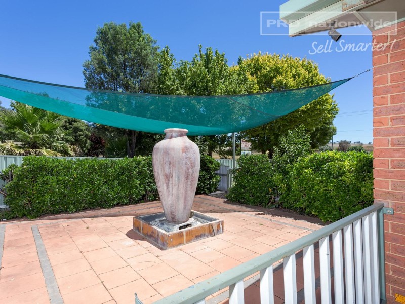 19 Horseshoe Road, Cartwrights Hill NSW 2650