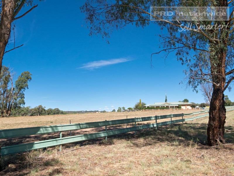 14 Cummins Drive, San Isidore NSW 2650
