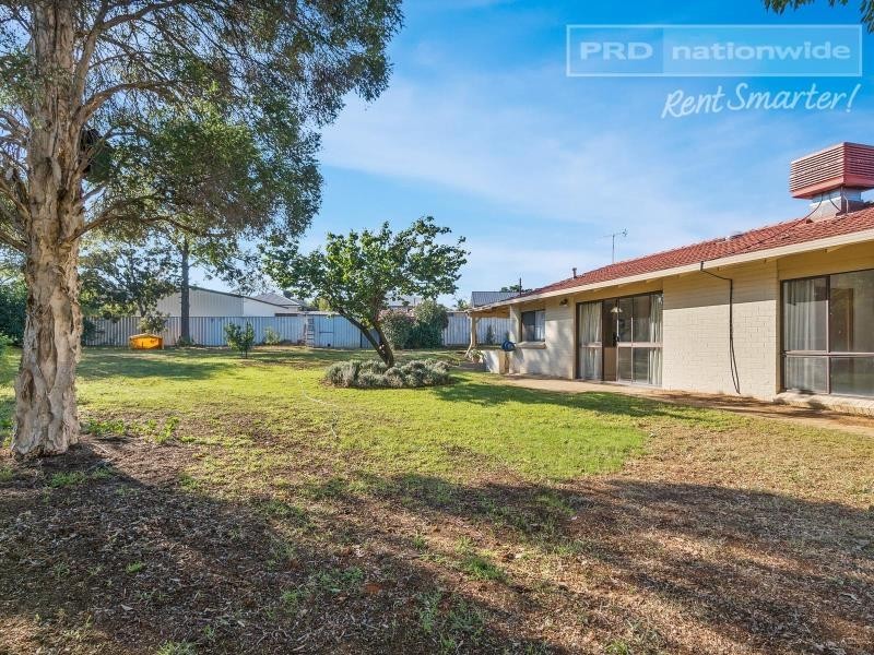 3 Dove Street, Mount Austin NSW 2650