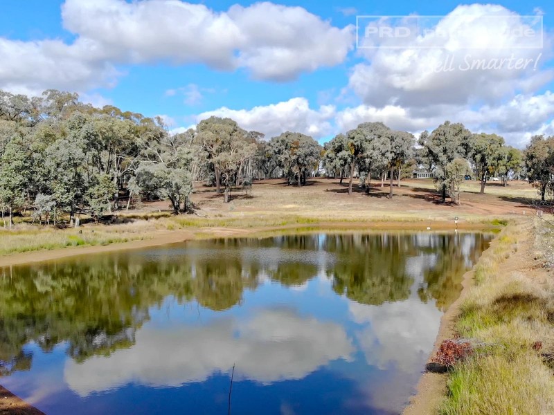 196 Barcoo Lane, Big Springs NSW 2650