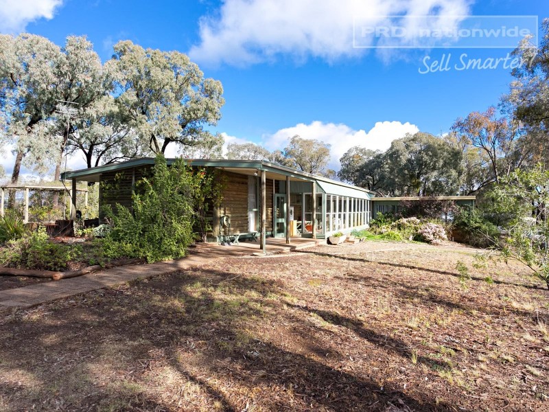 196 Barcoo Lane, Big Springs NSW 2650