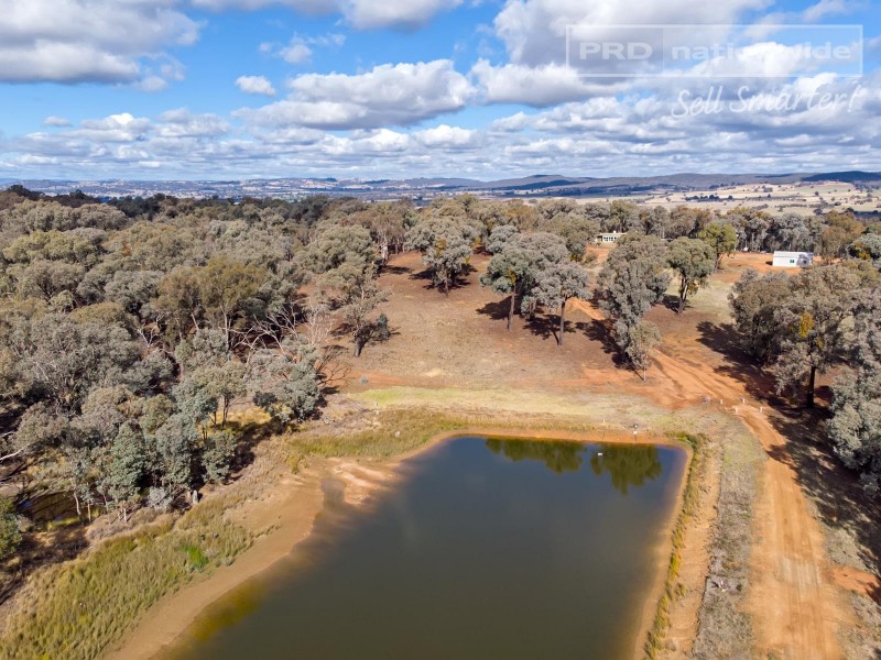 196 Barcoo Lane, Big Springs NSW 2650
