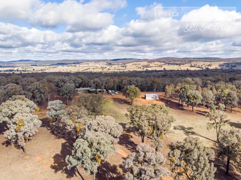 196 Barcoo Lane, Big Springs NSW 2650