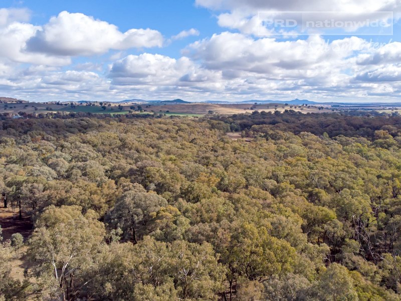 196 Barcoo Lane, Big Springs NSW 2650