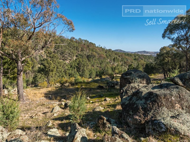267 Ivydale Road, Wagga Wagga NSW 2650