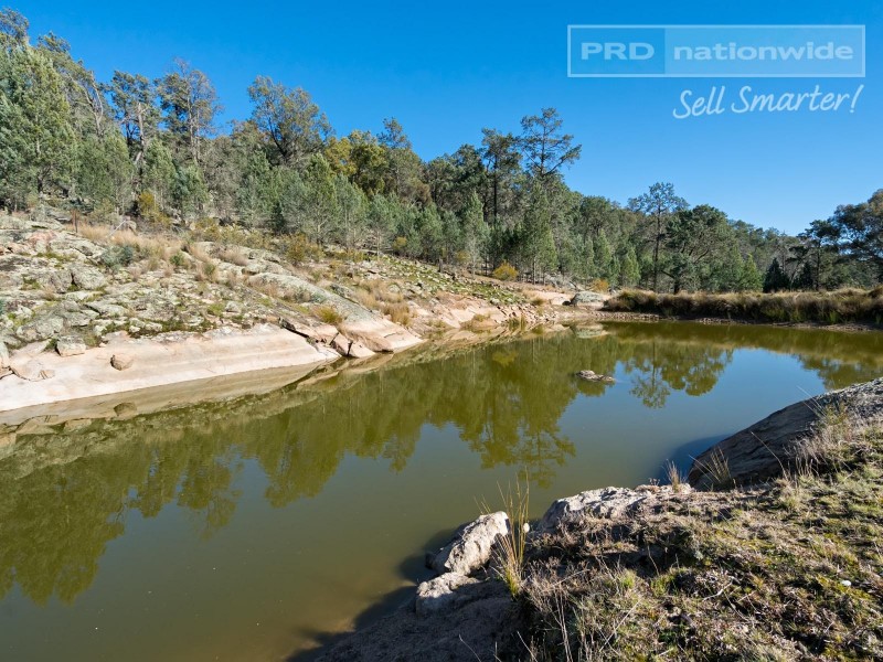 267 Ivydale Road, Wagga Wagga NSW 2650