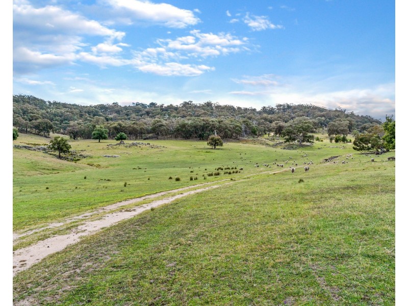 669 Big Springs Road, Big Springs NSW 2650