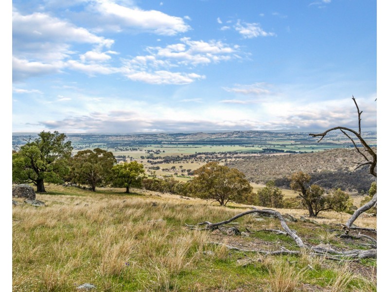 669 Big Springs Road, Big Springs NSW 2650