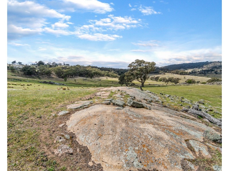 669 Big Springs Road, Big Springs NSW 2650