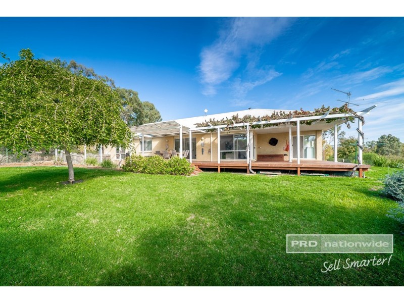 10 Kapooka Road, San Isidore NSW 2650