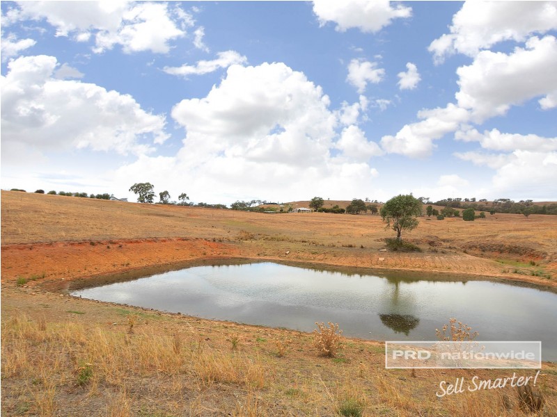 161 Dunns Road, Springvale NSW 2650