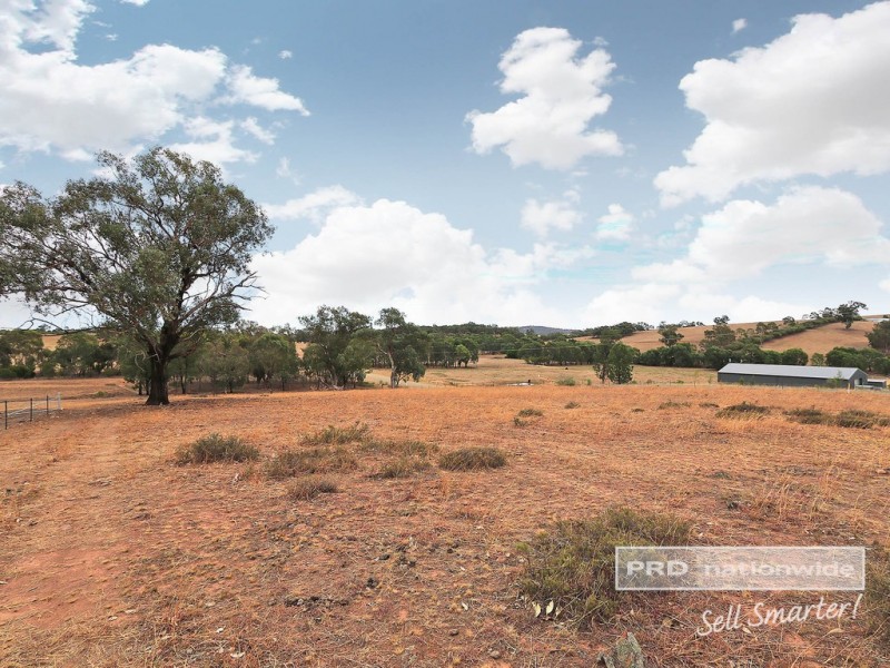 161 Dunns Road, Springvale NSW 2650