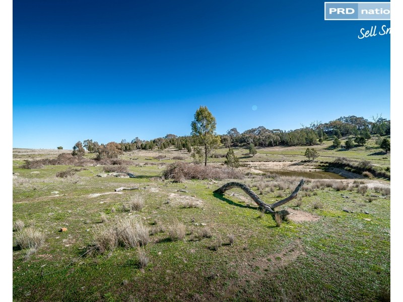 630 Gelston Park Road, Gelston Park NSW 2650