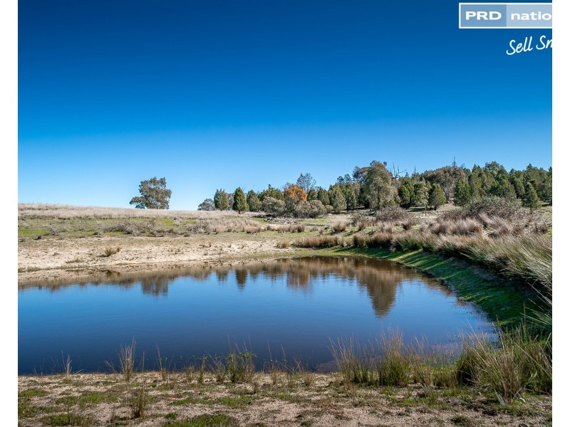 630 Gelston Park Road, Gelston Park NSW 2650