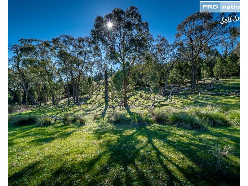 630 Gelston Park Road, Gelston Park NSW 2650