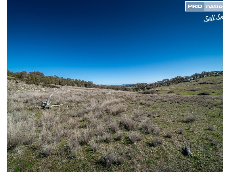 630 Gelston Park Road, Gelston Park NSW 2650