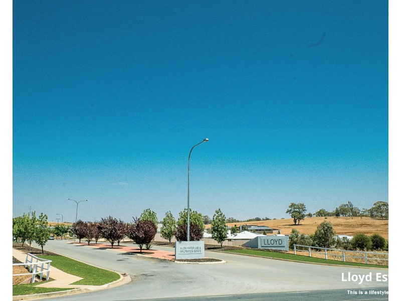 LOT 91 Fenner Drive, Lloyd NSW 2650