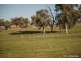 LOT 93 Watson Boulevard, Lloyd NSW 2650
