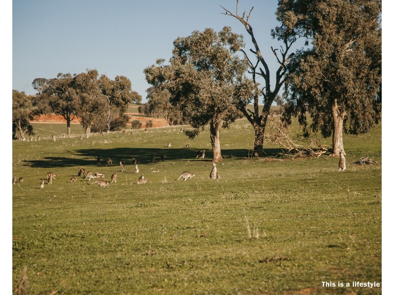 LOT 72 Watson Boulevard, Lloyd NSW 2650