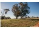LOT 75 Watson Boulevard, Lloyd NSW 2650