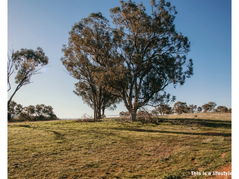 Lot 85 Fenner Drive, Lloyd NSW 2650