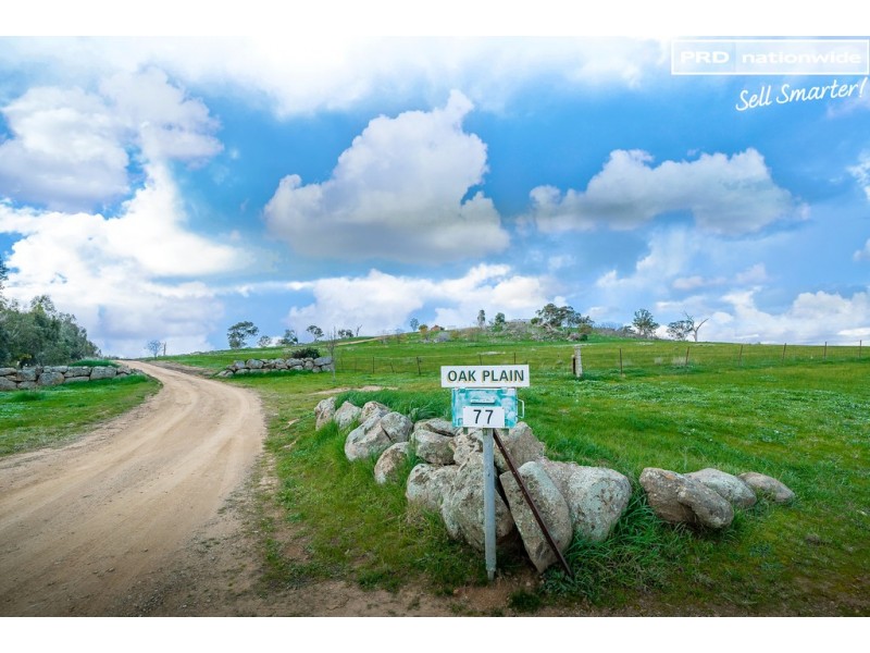 77 Bavin Road, North Wagga Wagga NSW 2650