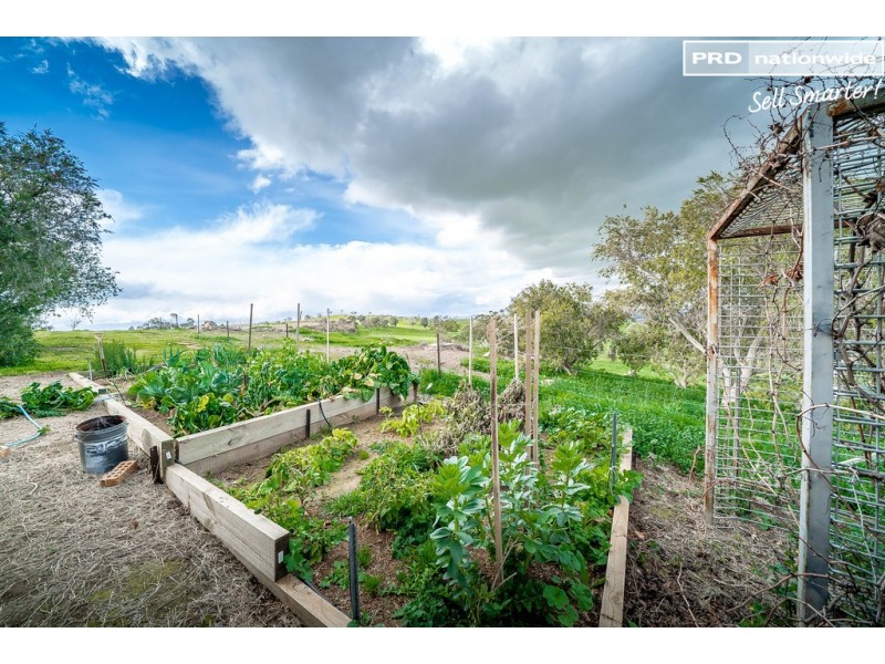 77 Bavin Road, North Wagga Wagga NSW 2650