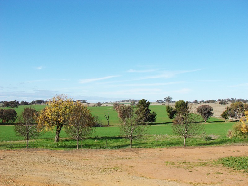 ‘Gundaroo Park’ Canola Way, Marrar NSW 2652