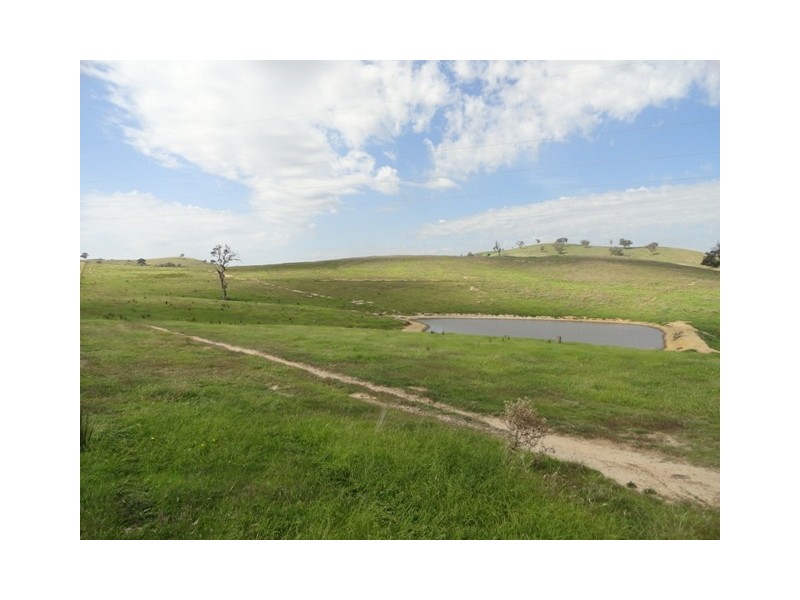 . “Back Station Creek” Reno Road, Gundagai NSW 2722