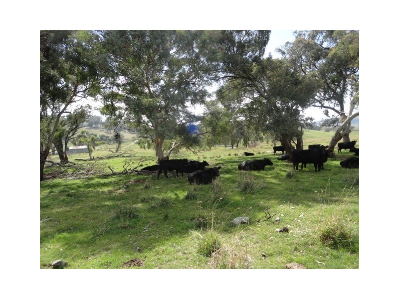 . “Back Station Creek” Reno Road, Gundagai NSW 2722