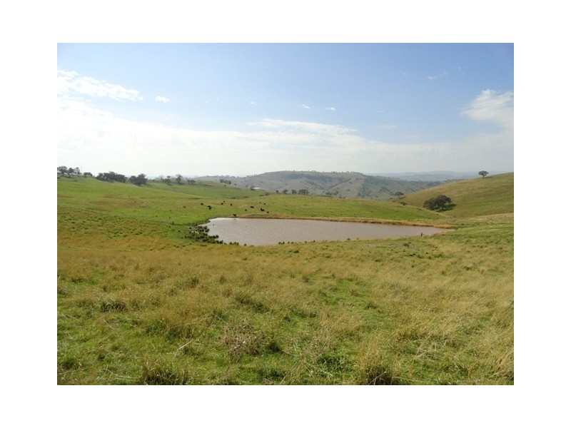. “Back Station Creek” Reno Road, Gundagai NSW 2722