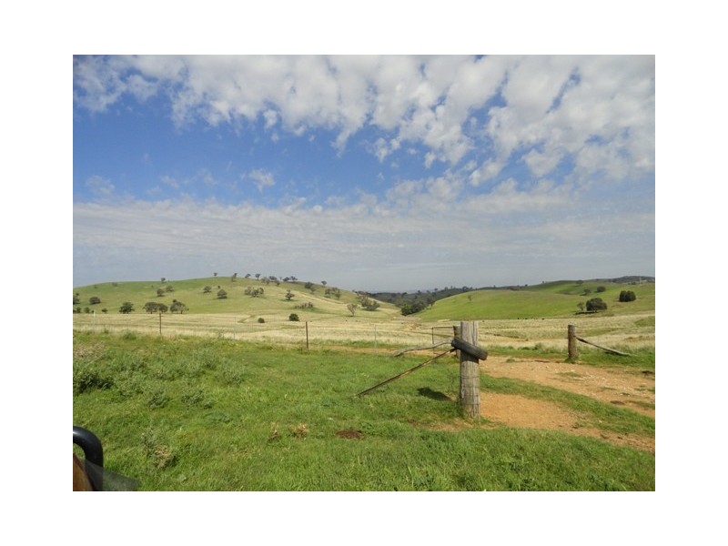 . “Back Station Creek” Reno Road, Gundagai NSW 2722