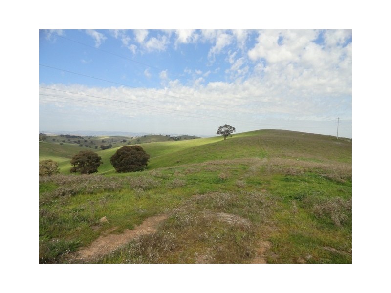 . “Back Station Creek” Reno Road, Gundagai NSW 2722