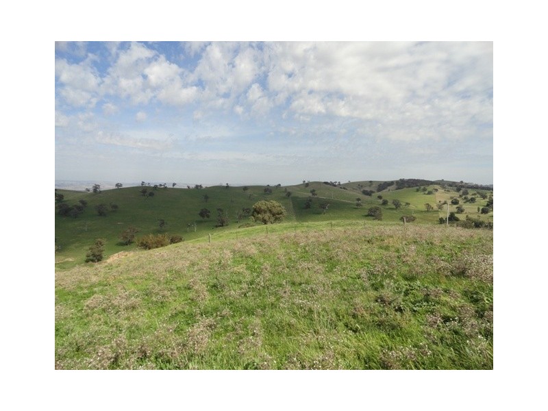 . “Back Station Creek” Reno Road, Gundagai NSW 2722