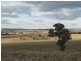 . Willis Lane, Yathella NSW 2650