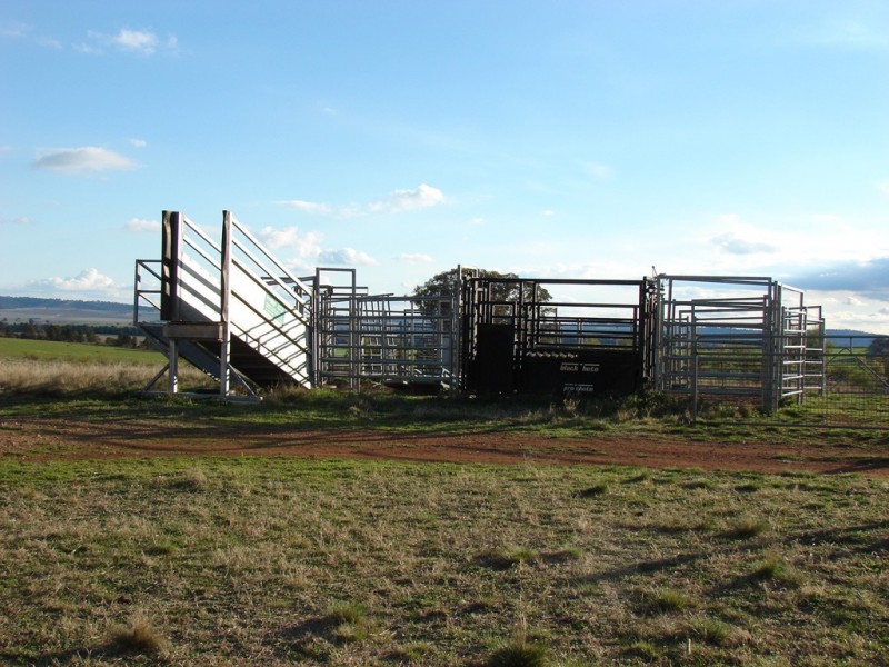 . Willis Lane, Yathella NSW 2650