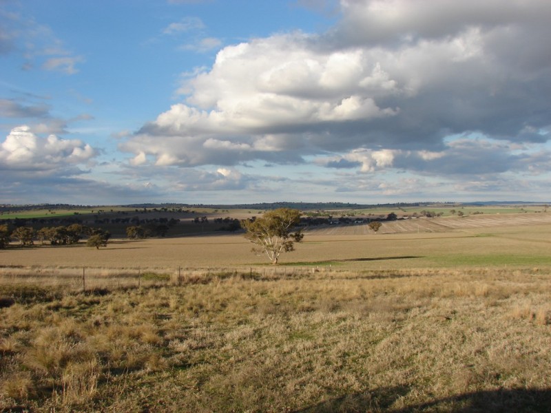 . Willis Lane, Yathella NSW 2650