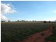 . Willis Lane, Yathella NSW 2650