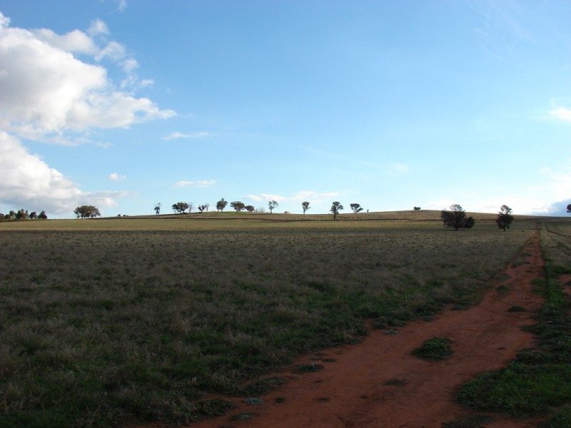 . Willis Lane, Yathella NSW 2650